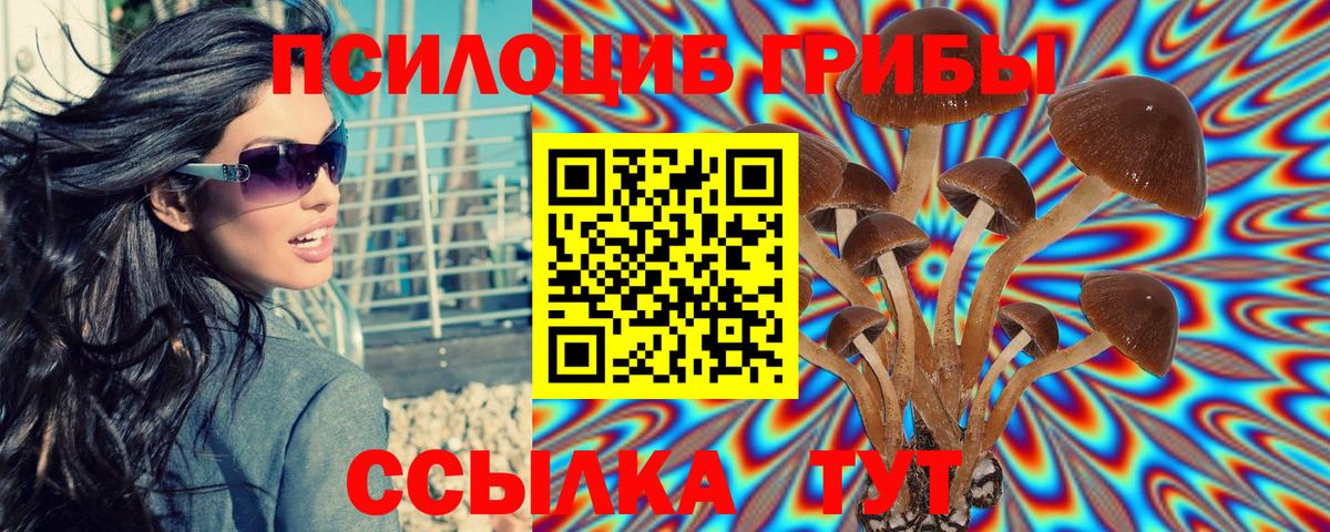 Псилоцибиновые грибы Psilocybe  Галлюциногенные грибы мицелий  Кимры  Вход с VPN 