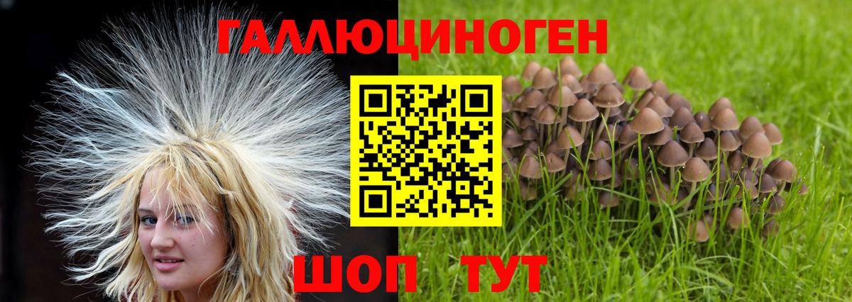 ГАШ  МДМА  Кимры  ГАШ  Вход с VPN  Марихуана  МЕФ  