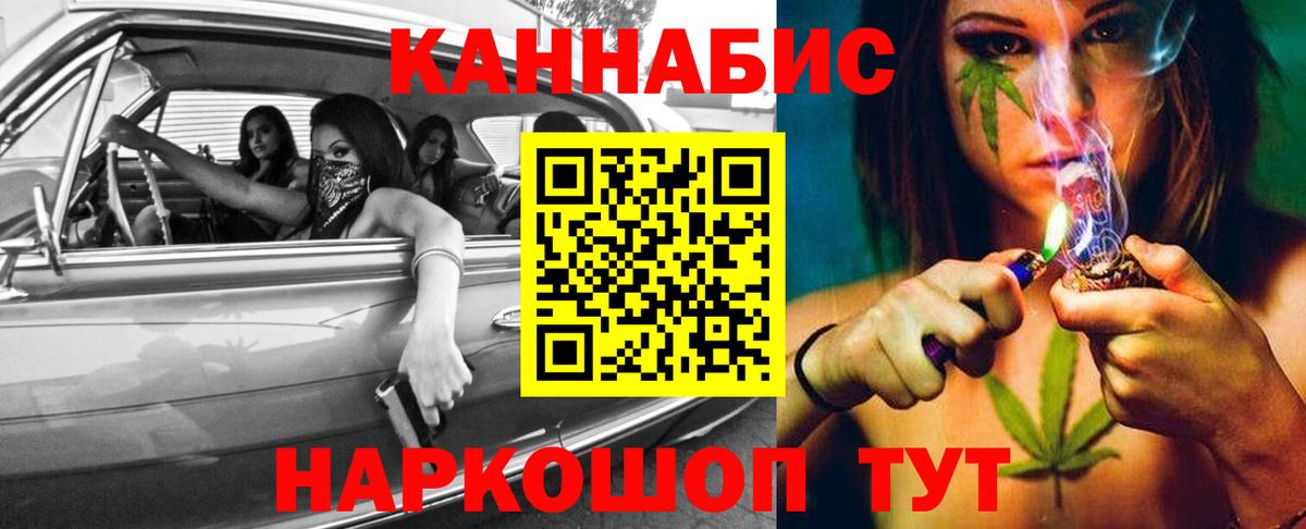 Кимры  Каннабис конопля  Бошки марихуана планчик  Вход с VPN 